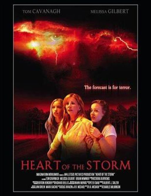 Hovedbilde Heart Of The Storm (DVD)