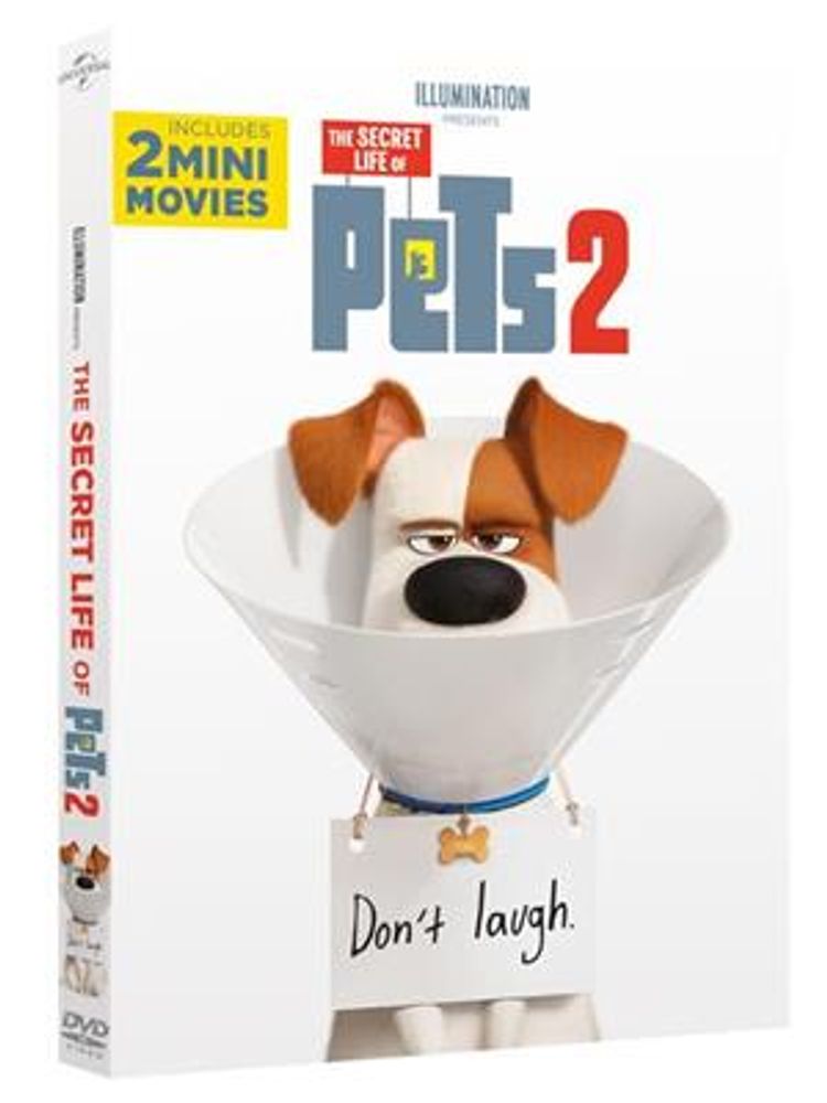 Kjæledyrenes Hemmelige Liv 2 (DVD)