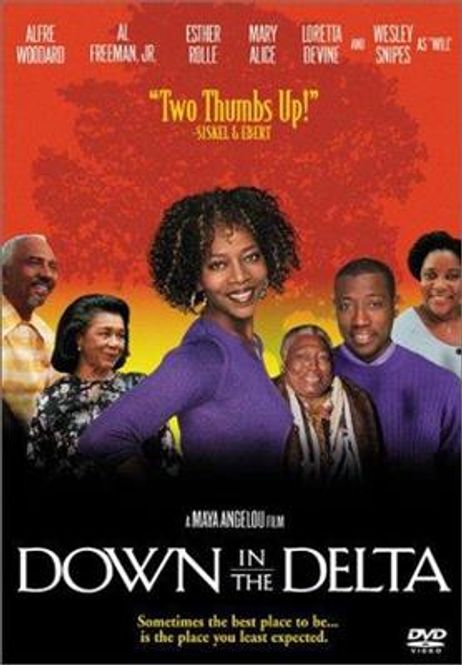 Hovedbilde Down In The Delta (DVD)
