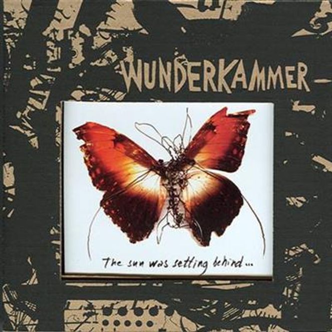 Hovedbilde Wunderkammer - Today I Cannot Hear Music (CD)