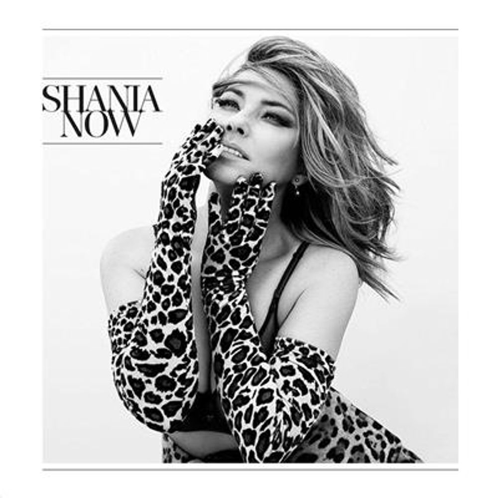 Shania Twain - Now (CD)