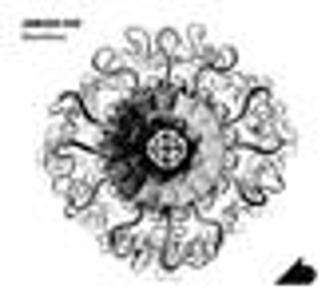 Hovedbilde Zanussi Five - Ghost Dance (CD)