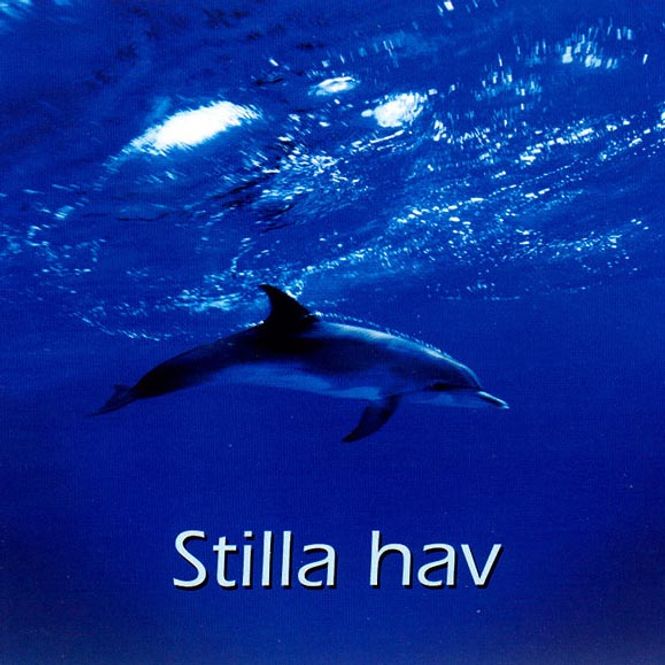 Hovedbilde Stilla Hav (CD)