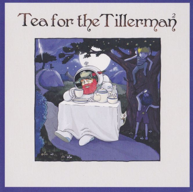 Hovedbilde Cat Stevens - Tea For The Tillerman 2 (CD)